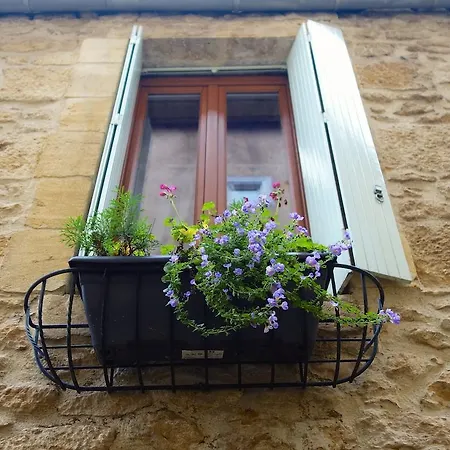Town House Hébergement de vacances *